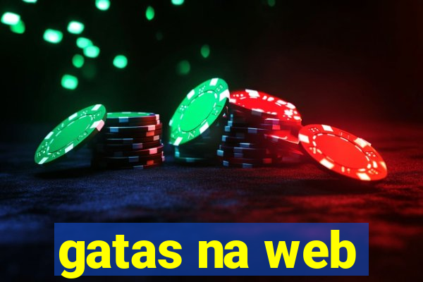 gatas na web